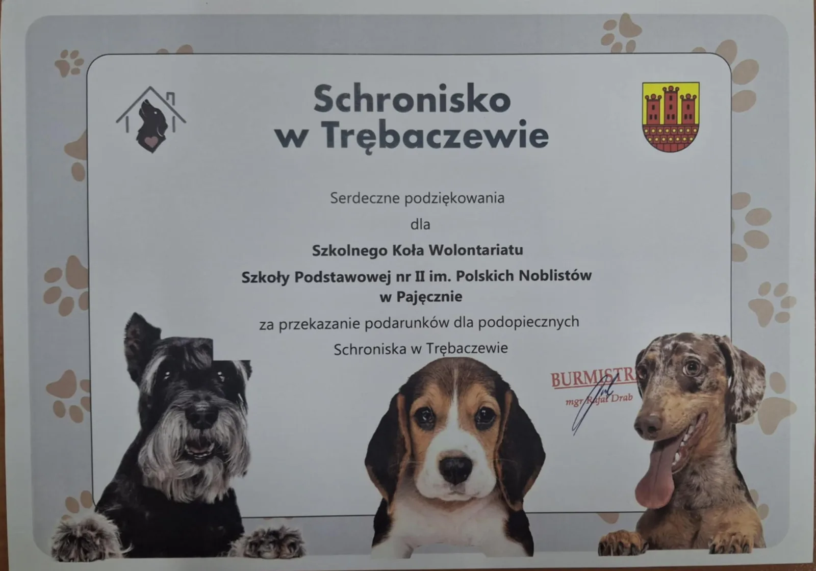zdjeciejpeg
